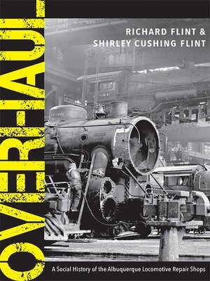 cover image of Overhaul